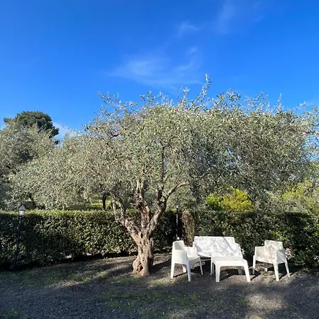 Etna Glicine * Piedimonte Etneo