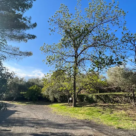 Etna Glicine Vakantiehuis Piedimonte Etneo
