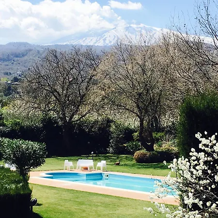 Etna Glicine * Piedimonte Etneo