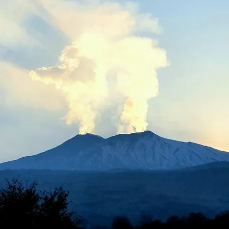 Etna Glicine * Piedimonte Etneo